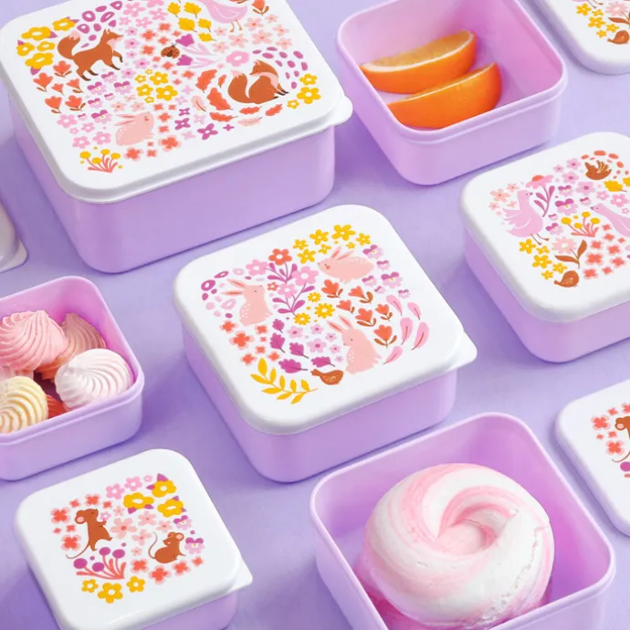 A Little Lovely Company Charlie Lunch & Snack Box flower garden