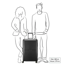 Delsey Turenne 2.0 Trolley L black