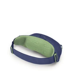 Osprey Daylite Waist blue spikemoss/alkaline