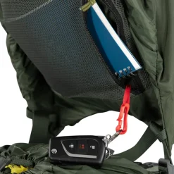 Osprey Kestrel 58 L/XL bonsai green