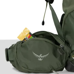 Osprey Kestrel 58 L/XL bonsai green