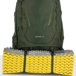 Osprey Kestrel 58 L/XL bonsai green