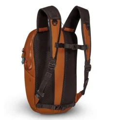 Pacsafe Eco 18L Backpack Econyl canyon