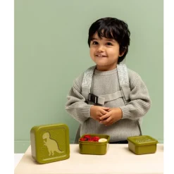 Trixie Mr. Dino Snackbox 3pc green